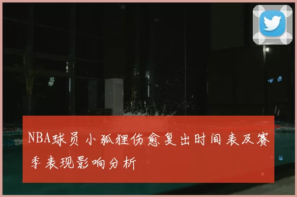 NBA球员小狐狸伤愈复出时间表及赛季表现影响分析