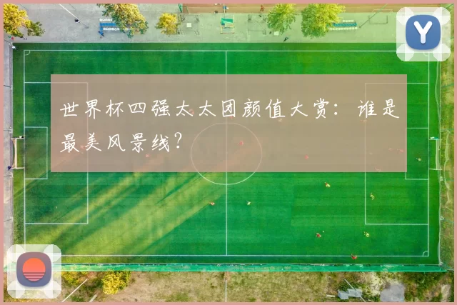 世界杯四强太太团颜值大赏:谁是最美风景线?