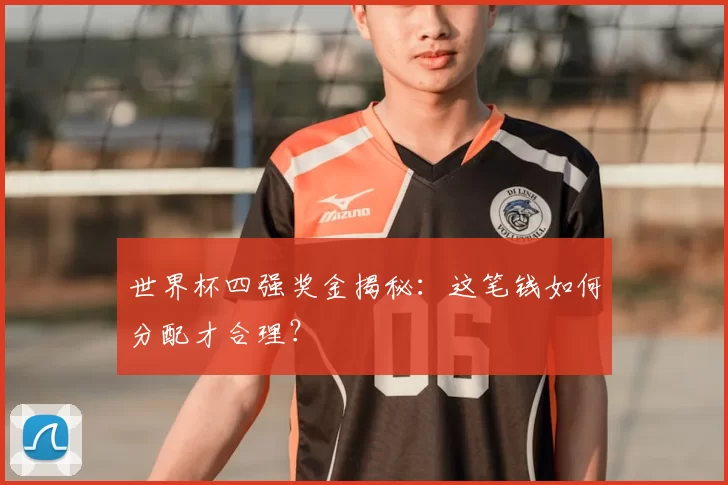 世界杯四强奖金揭秘：这笔钱如何分配才合理？