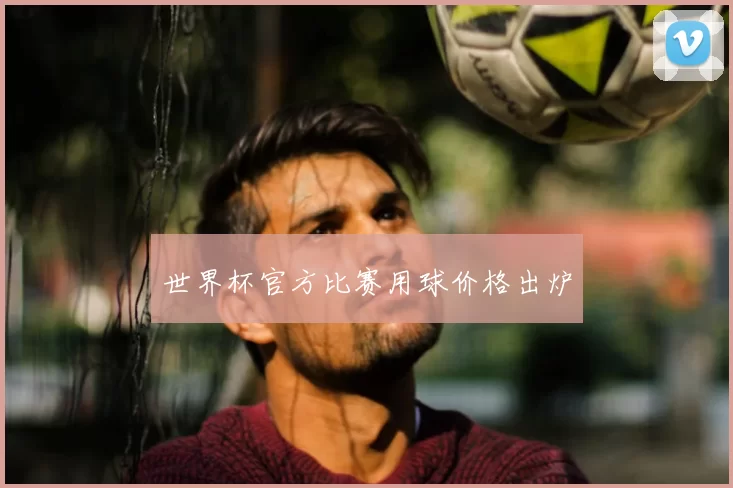 世界杯官方比赛用球价格出炉