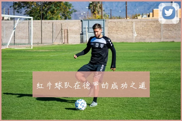 红牛球队在德甲的成功之道