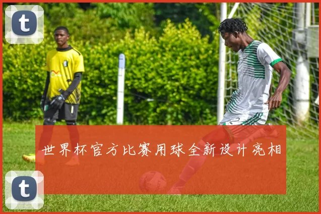 世界杯官方比赛用球全新设计亮相