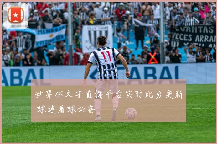 世界杯文字直播平台实时比分更新 球迷看球必备