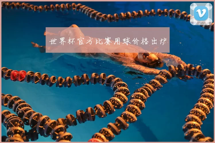 世界杯官方比赛用球价格出炉