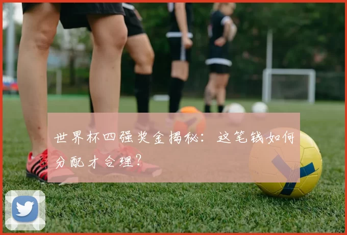 世界杯四强奖金揭秘：这笔钱如何分配才合理？