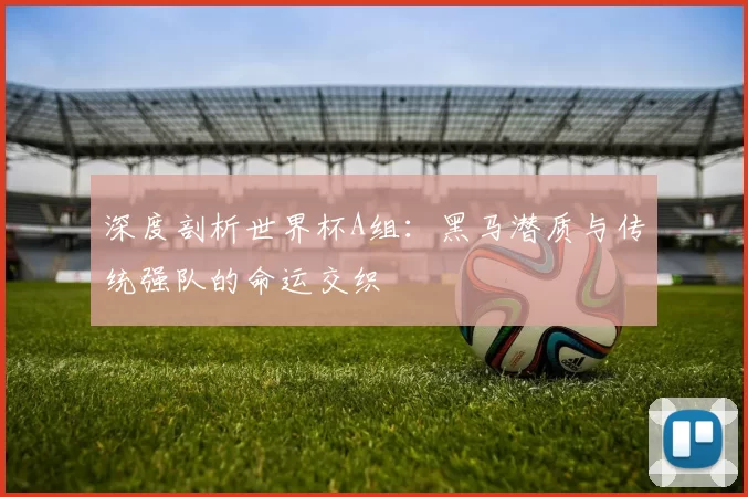 深度剖析世界杯A组:黑马潜质与传统强队的命运交织