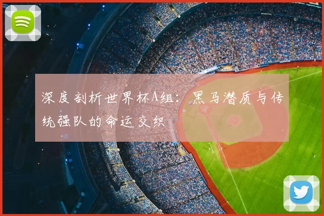深度剖析世界杯A组:黑马潜质与传统强队的命运交织