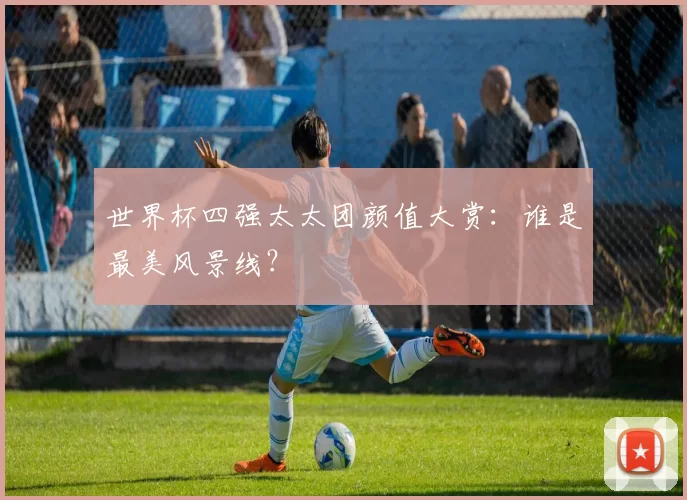 世界杯四强太太团颜值大赏:谁是最美风景线?