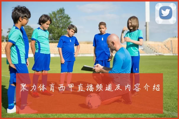 聚力体育西甲直播频道及内容介绍